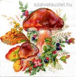Szalvéta k3159