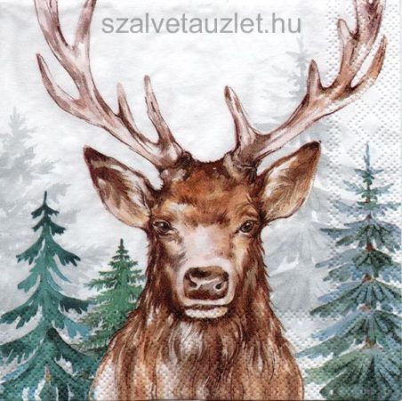 Szalvéta k3660 Szalvéta k3660