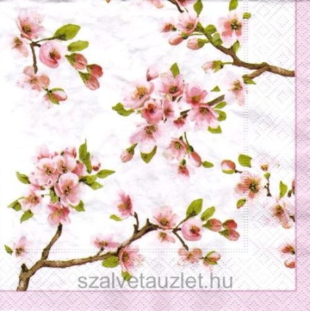 Szalvéta n0469