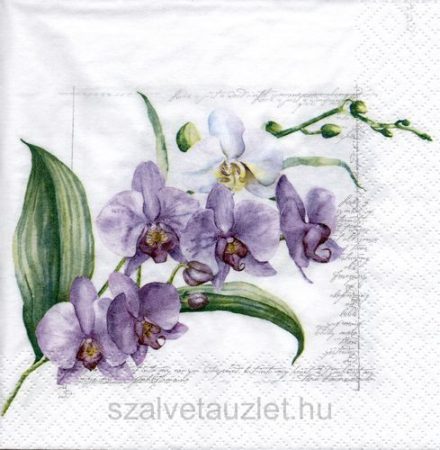 Szalvéta n8329