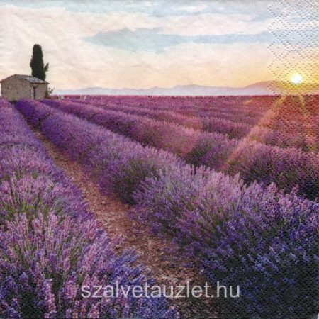 Szalvéta n8423