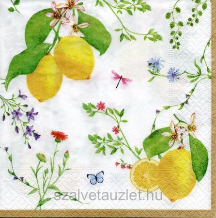 Szalvéta n8432