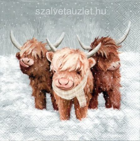 Szalvéta n8467
