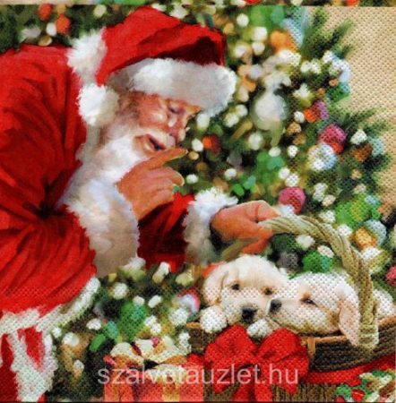 Szalvéta n8493