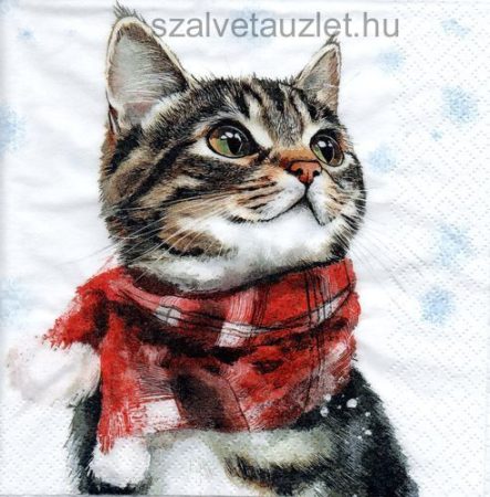 Szalvéta n8513
