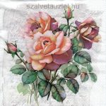 Szalvéta n8529