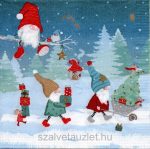 Szalvéta n8567