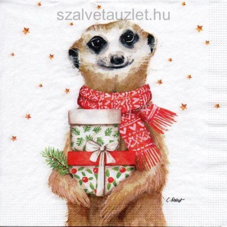 Szalvéta n8572
