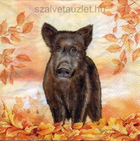 Szalvéta n8580