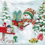 Szalvéta n8619