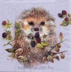 Szalvéta n8654 Szalvéta n8654