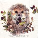 Szalvéta n8680 Szalvéta n8680