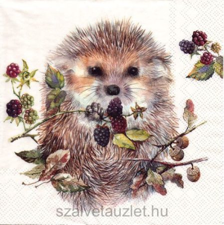 Szalvéta n8680 Szalvéta n8680