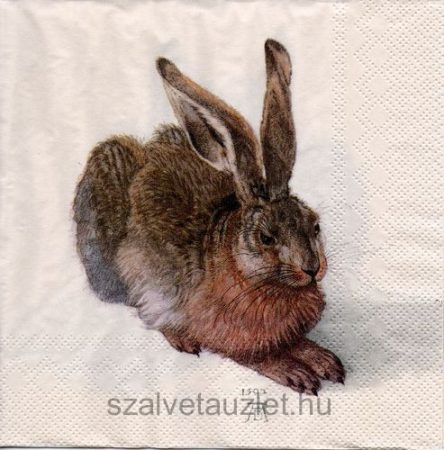 Szalvéta n8801 Szalvéta n8801