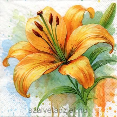 Szalvéta n8815 Szalvéta n8815