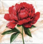 Szalvéta n8926