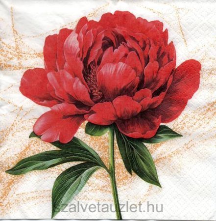 Szalvéta n8926