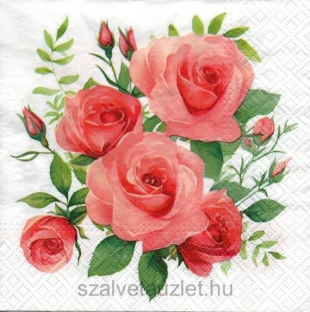 Szalvéta n8943