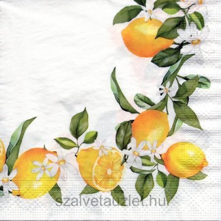 Szalvéta n8960