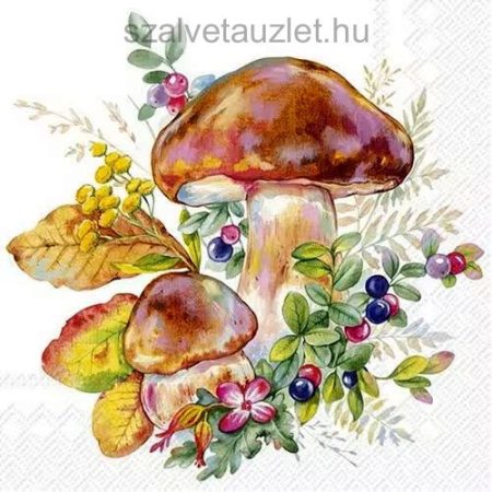 Szalvéta n9081 Szalvéta n9081