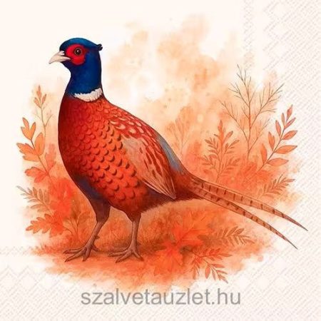 Szalvéta n9097