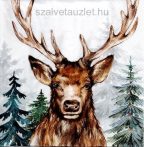 Szalvéta n9251 Szalvéta n9251