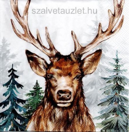 Szalvéta n9251 Szalvéta n9251