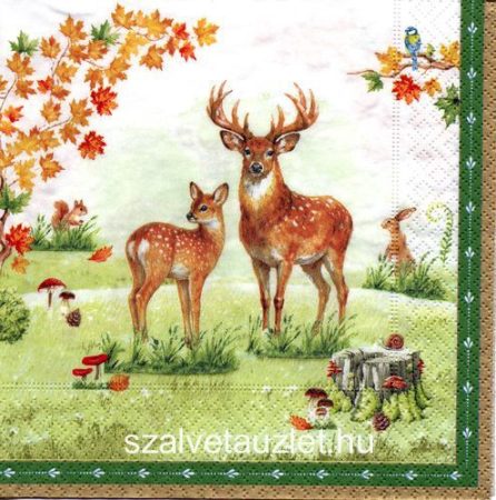 Szalvéta n9267 Szalvéta n9267