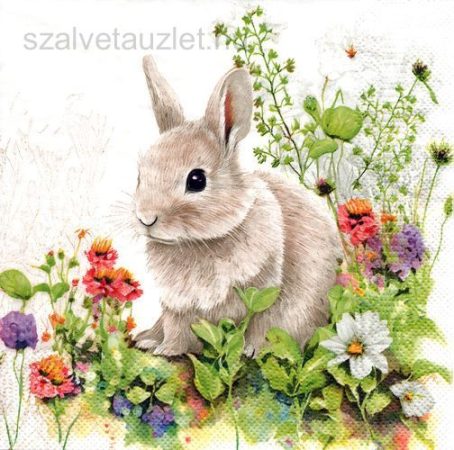 Szalvéta n9272 Szalvéta n9272