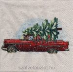 Szalvéta n9287