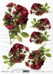 Rizspapír R0332