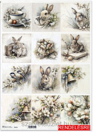 Rizspapír R1631L - A3