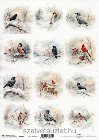 Rizspapír R2490 Rizspapír R2490