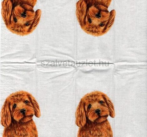 Papírzsebkendő z2120